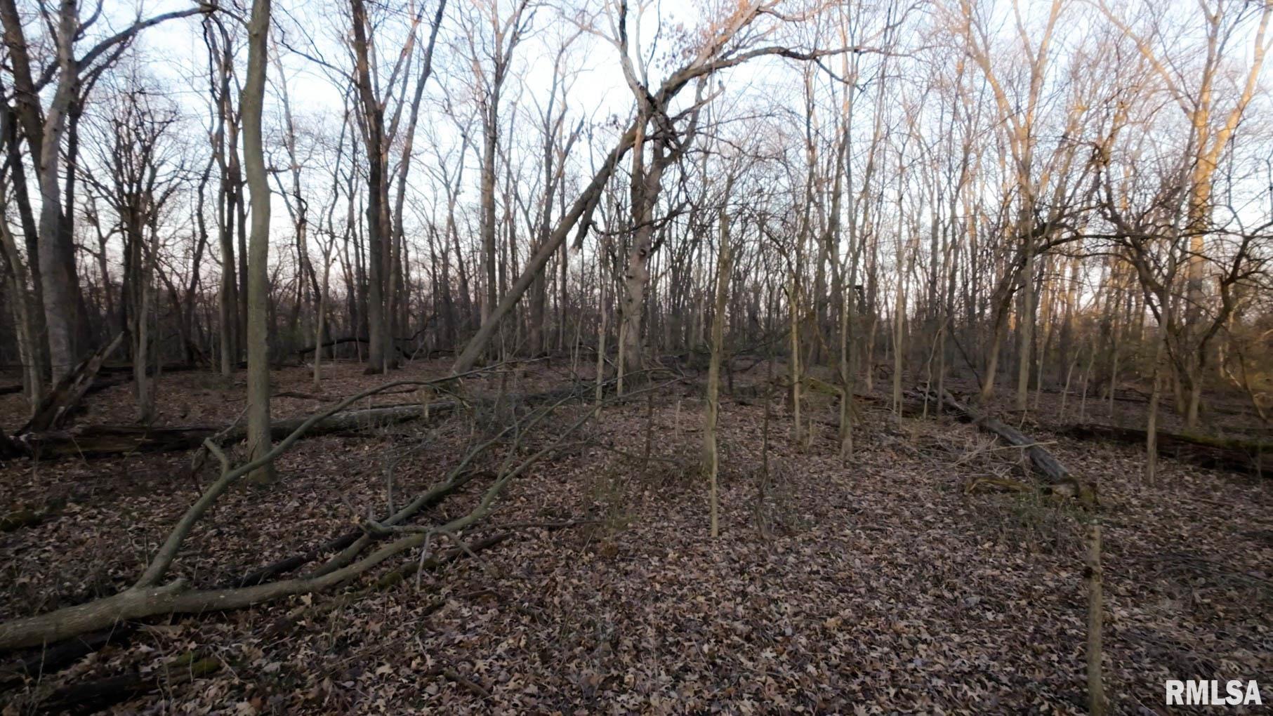 0 West Lafollett Road Brimfield, IL 61517 - Photo 16 of 23