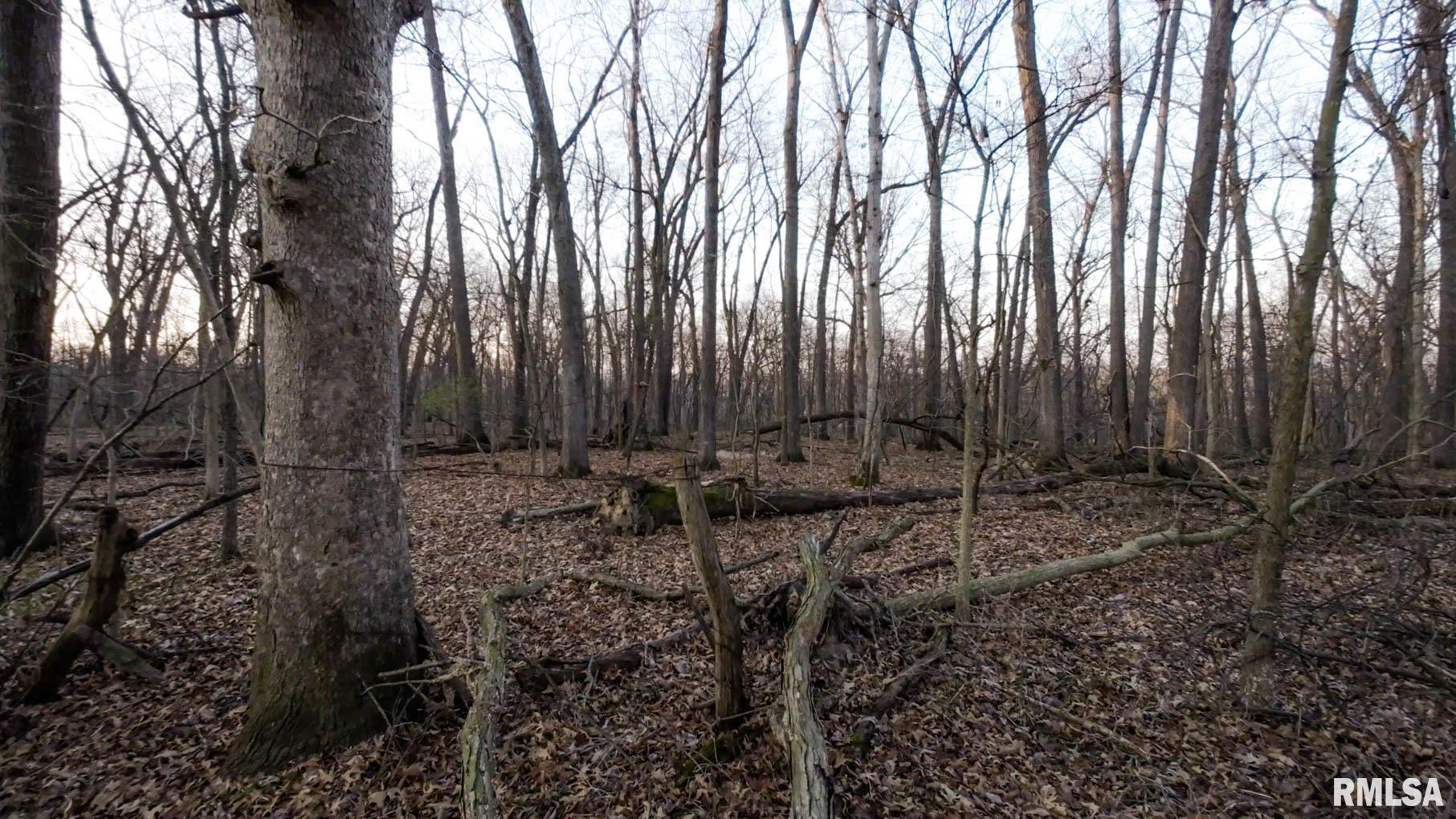 0 West Lafollett Road Brimfield, IL 61517 - Photo 17 of 23