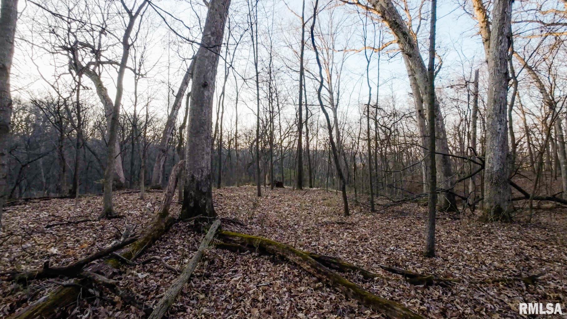 0 West Lafollett Road Brimfield, IL 61517 - Photo 18 of 23