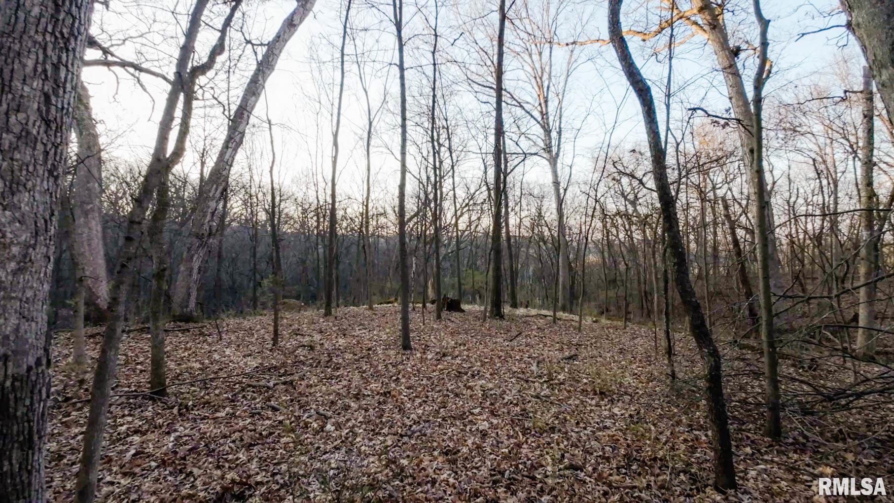 0 West Lafollett Road Brimfield, IL 61517 - Photo 19 of 23