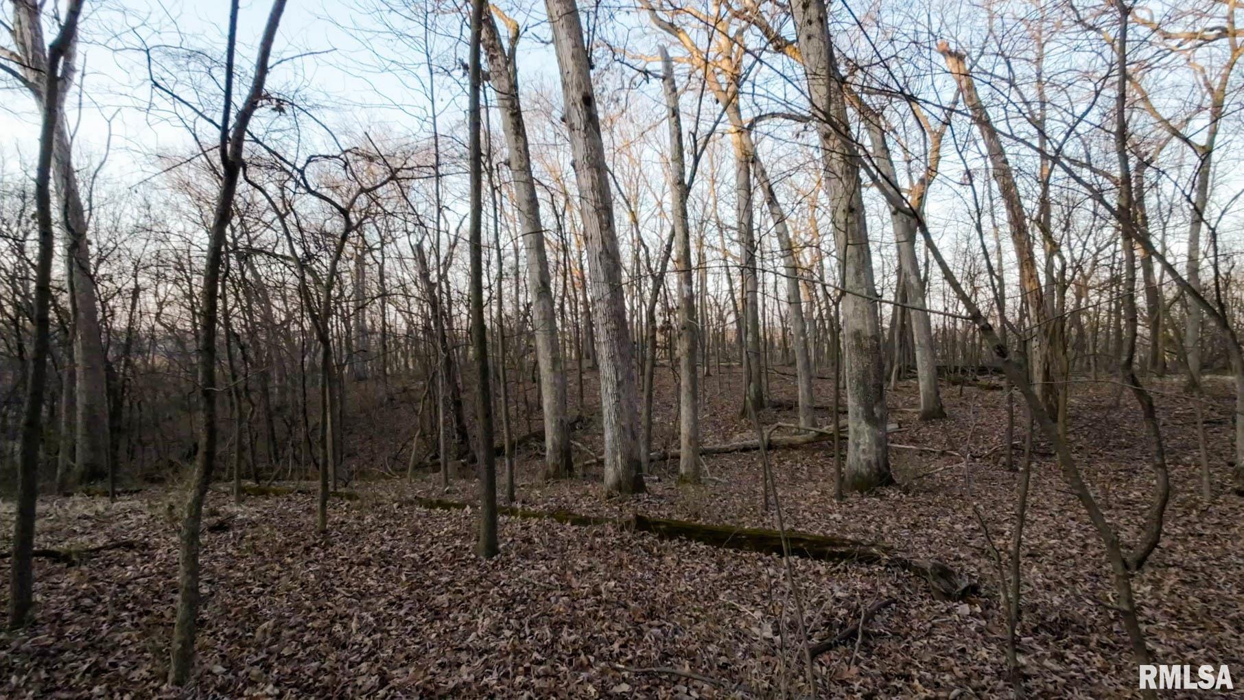 0 West Lafollett Road Brimfield, IL 61517 - Photo 20 of 23