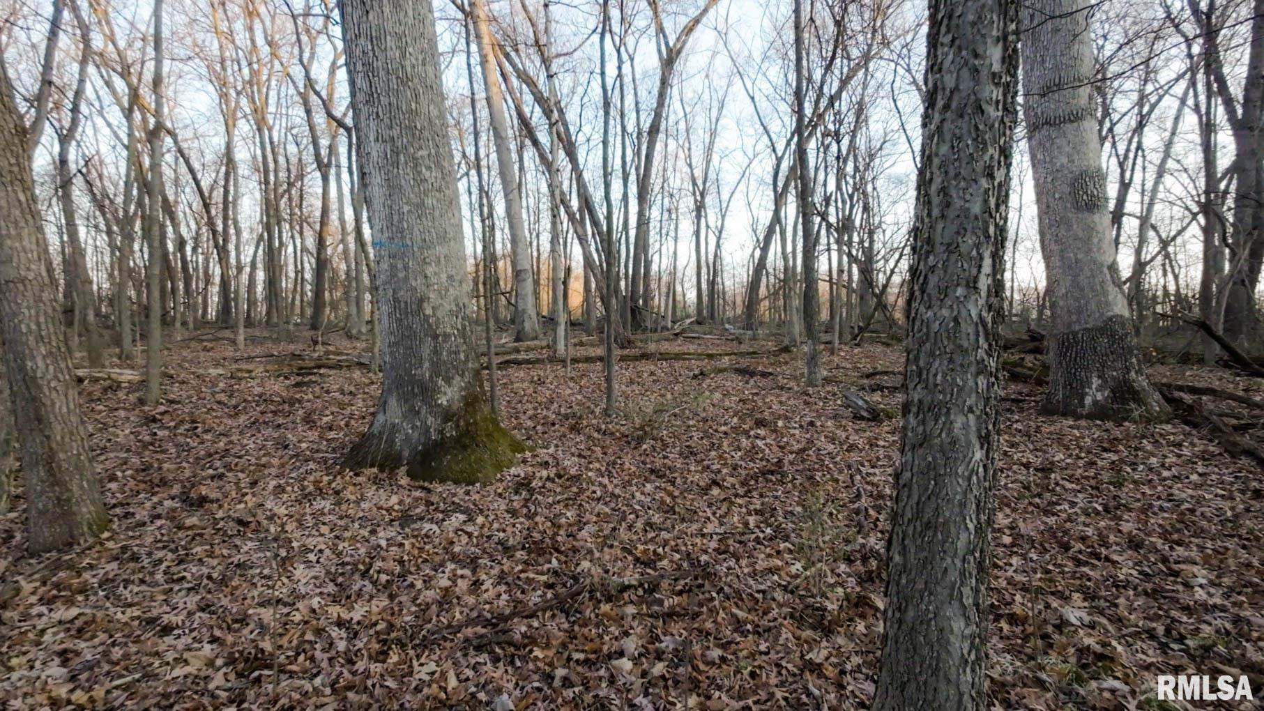 0 West Lafollett Road Brimfield, IL 61517 - Photo 21 of 23