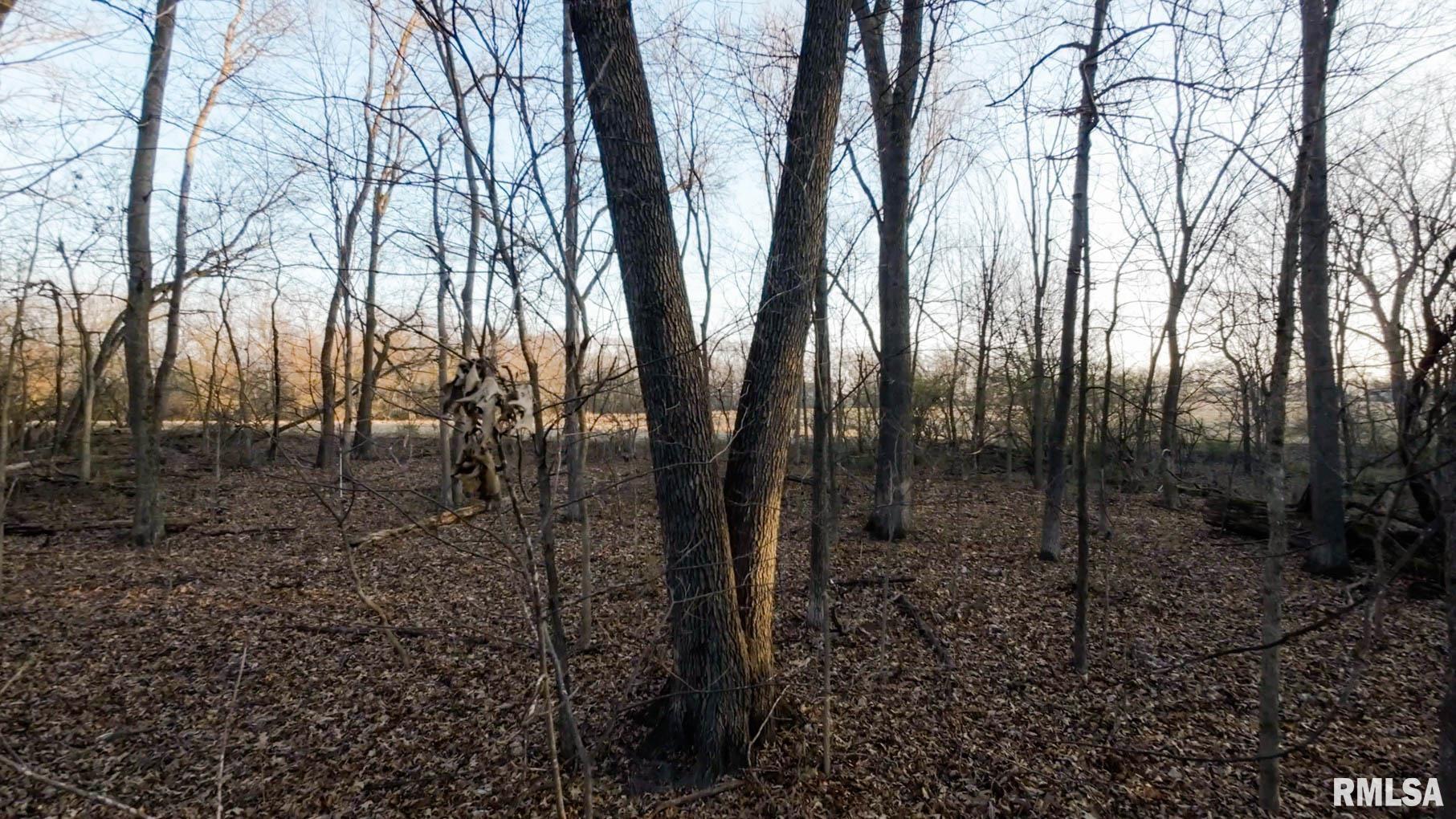 0 West Lafollett Road Brimfield, IL 61517 - Photo 22 of 23