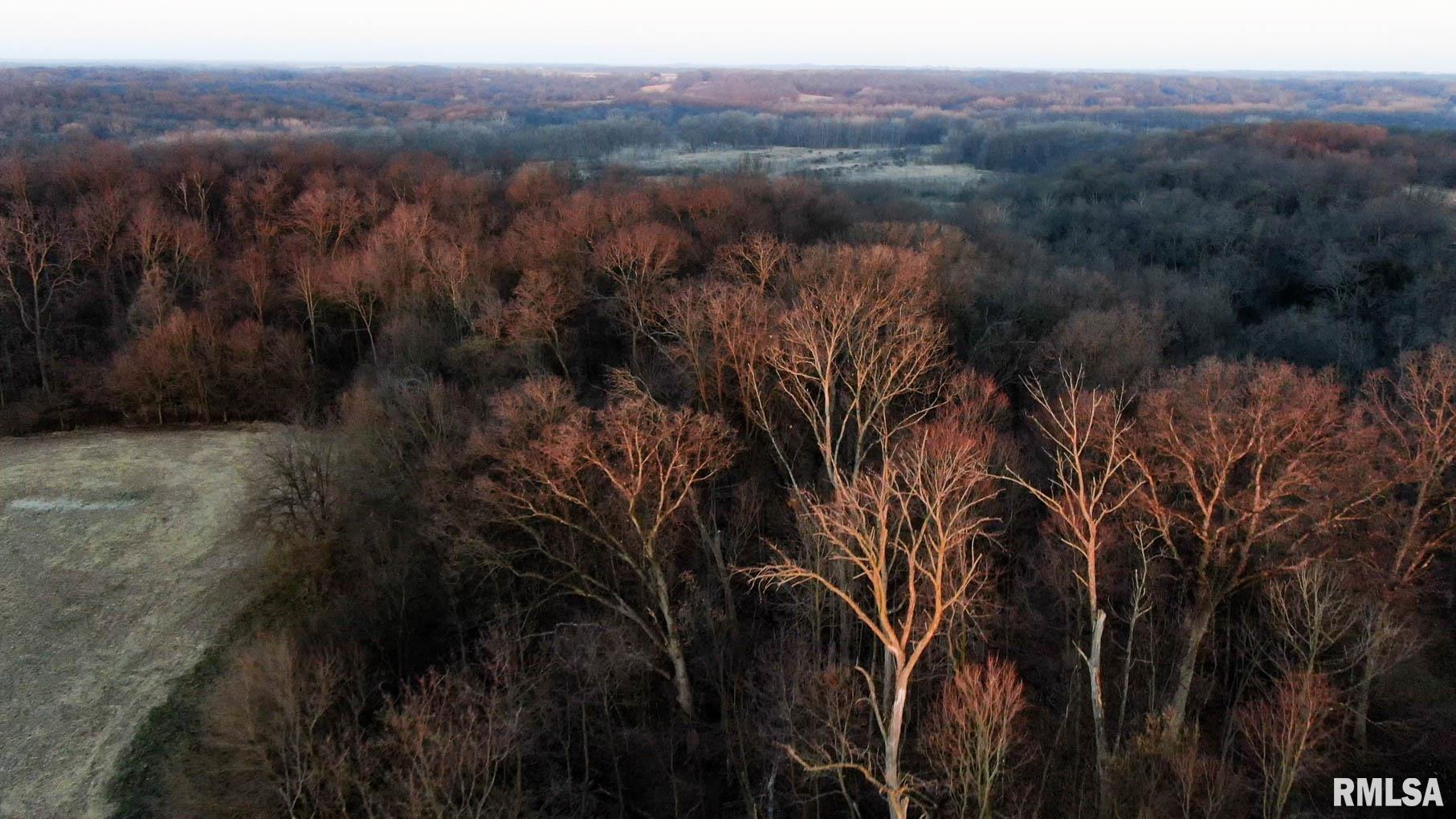 0 West Lafollett Road Brimfield, IL 61517 - Photo 3 of 23