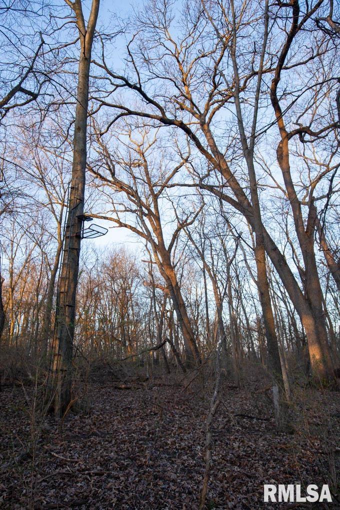 0 West Lafollett Road Brimfield, IL 61517 - Photo 7 of 23