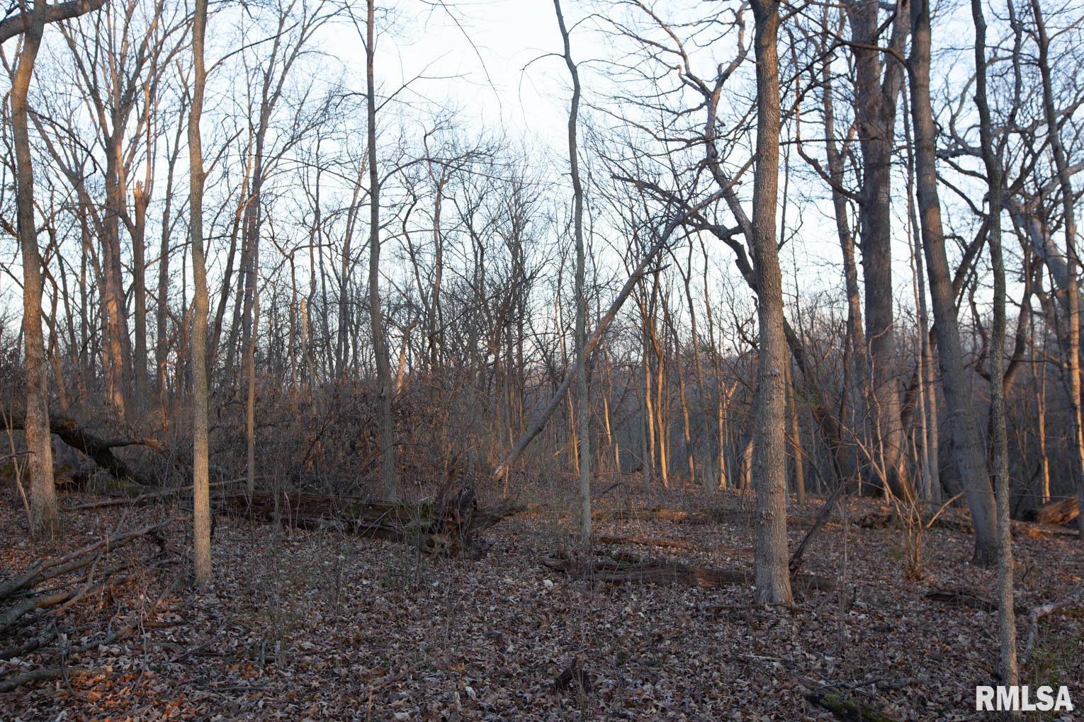 0 West Lafollett Road Brimfield, IL 61517 - Photo 9 of 23