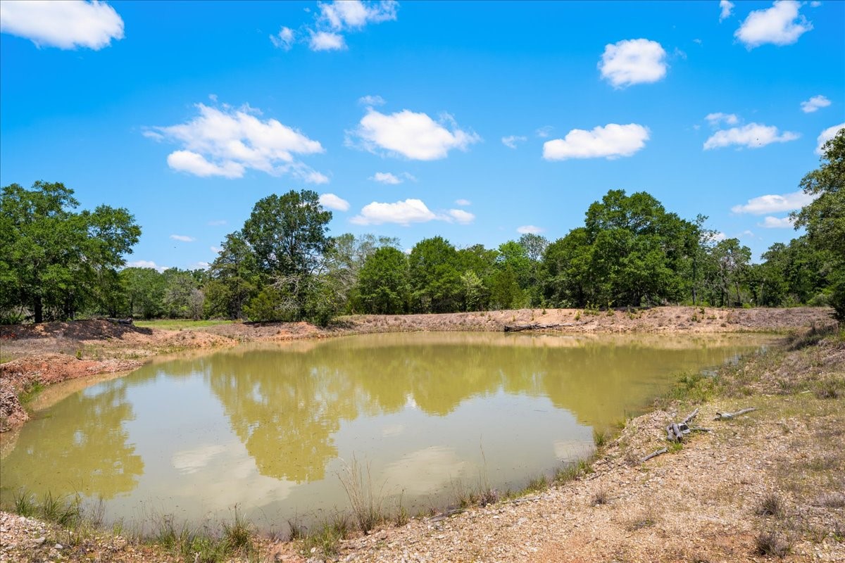2516 Klimer Road Fayetteville, TX 78940 - Photo 7 of 20 Gallery Image 7