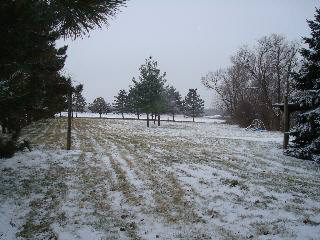11320 Strasburg Road Erie, MI 48133 - Photo 10 of 10 Back yard