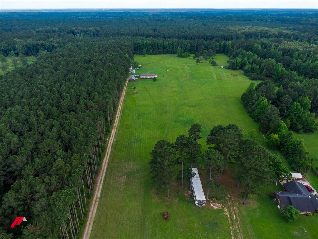 555 Thomasville Road Sarepta, LA 71071 - Photo 40 of 40 a lush green forest with lots of trees