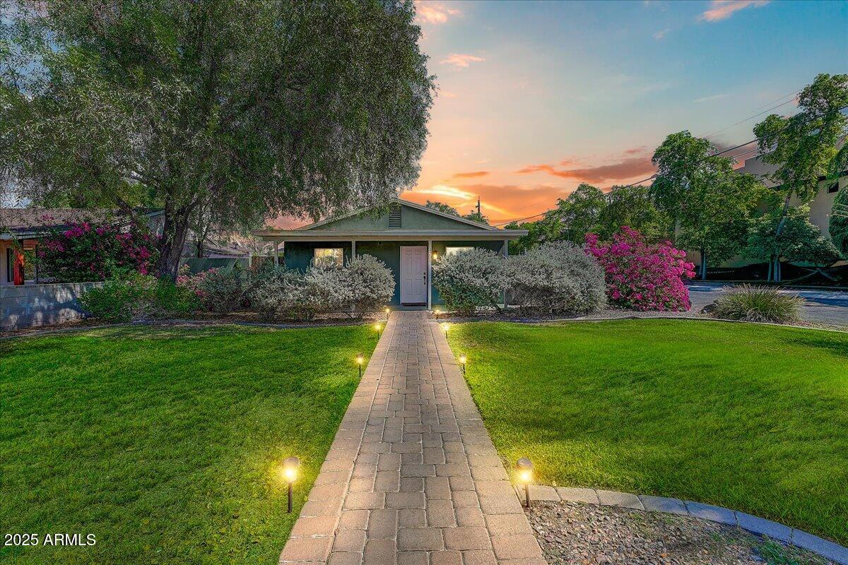 a view of a yard with plants