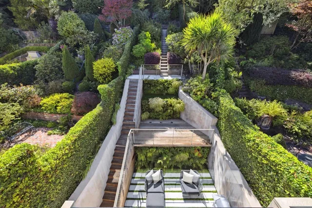 a view of a garden with flowers