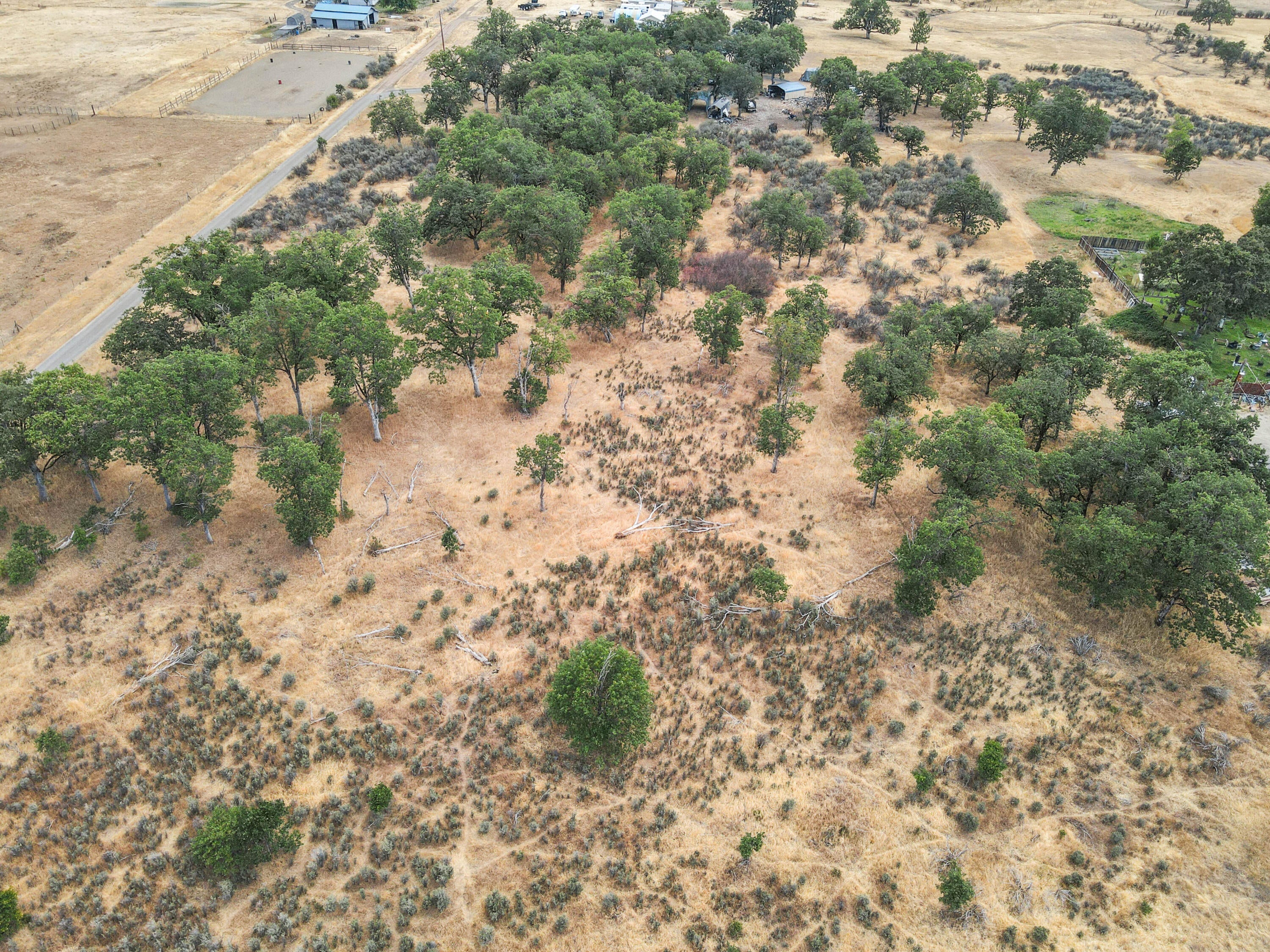 dji_fly_20250801_162000_773_175409042255