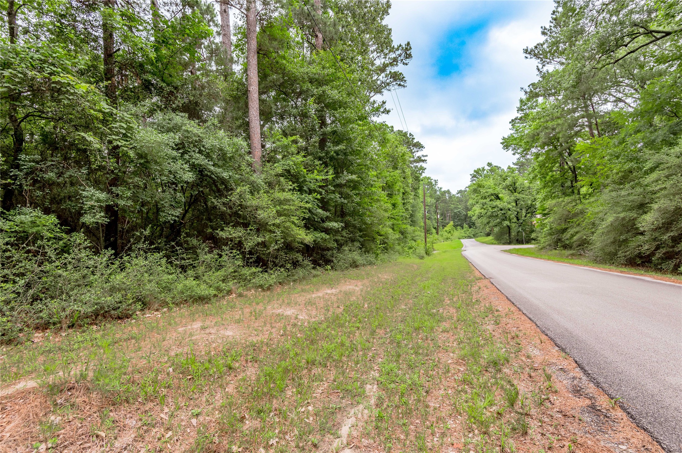 Lot 07 Oak Drive Trinity, TX 75862 - Photo 8 of 36