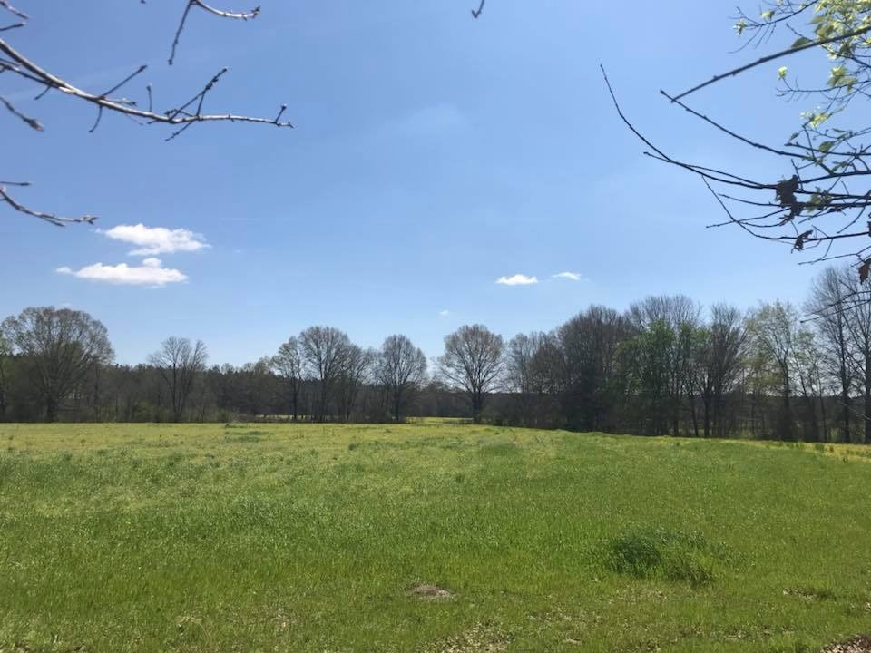 11 Holly Bush Place, Unit 11 Brandon, MS 39047 - Photo 1 of 1 Photo 1