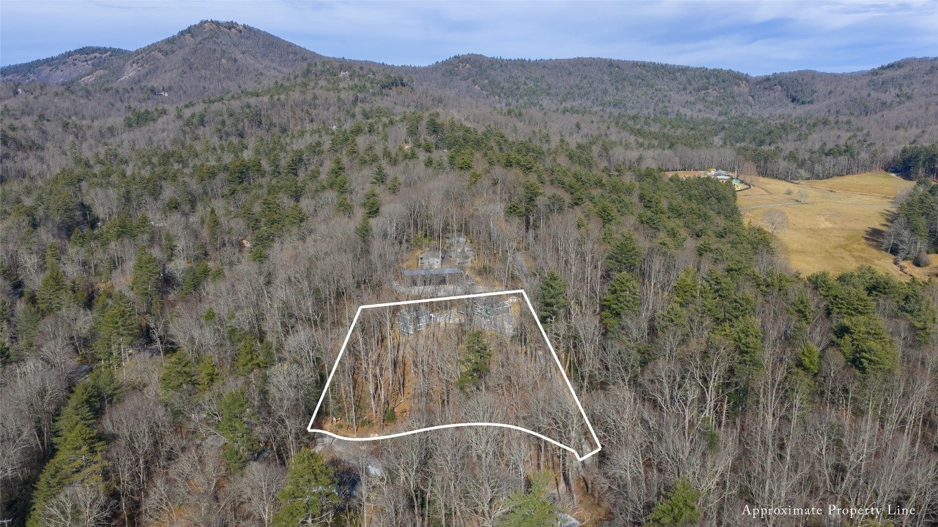 115 Spur Road Cashiers, NC 28717 - Photo 5 of 60 Aerial View