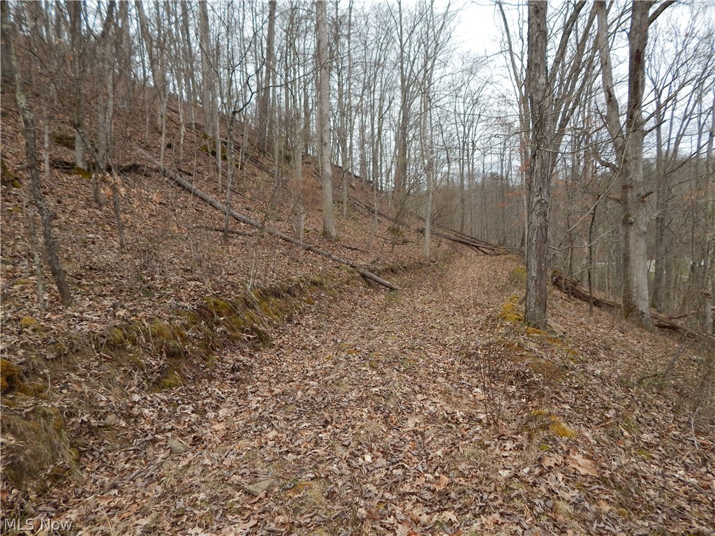 Lick Run Road Smithville, WV 26178 - Photo 21 of 30