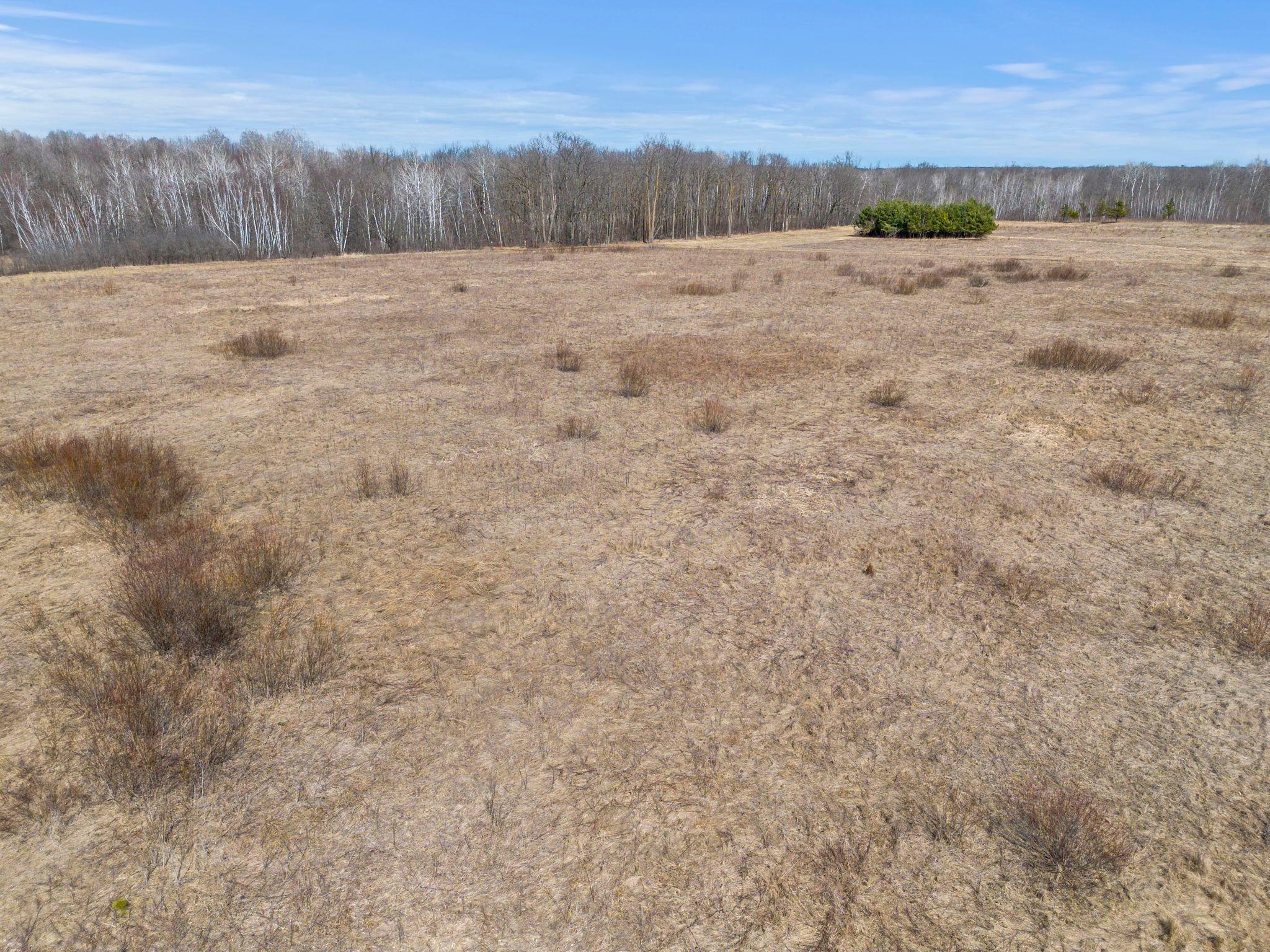 Xxx Rice Road Brook Park, MN 55007 - Photo 2 of 27 Gallery Image 2