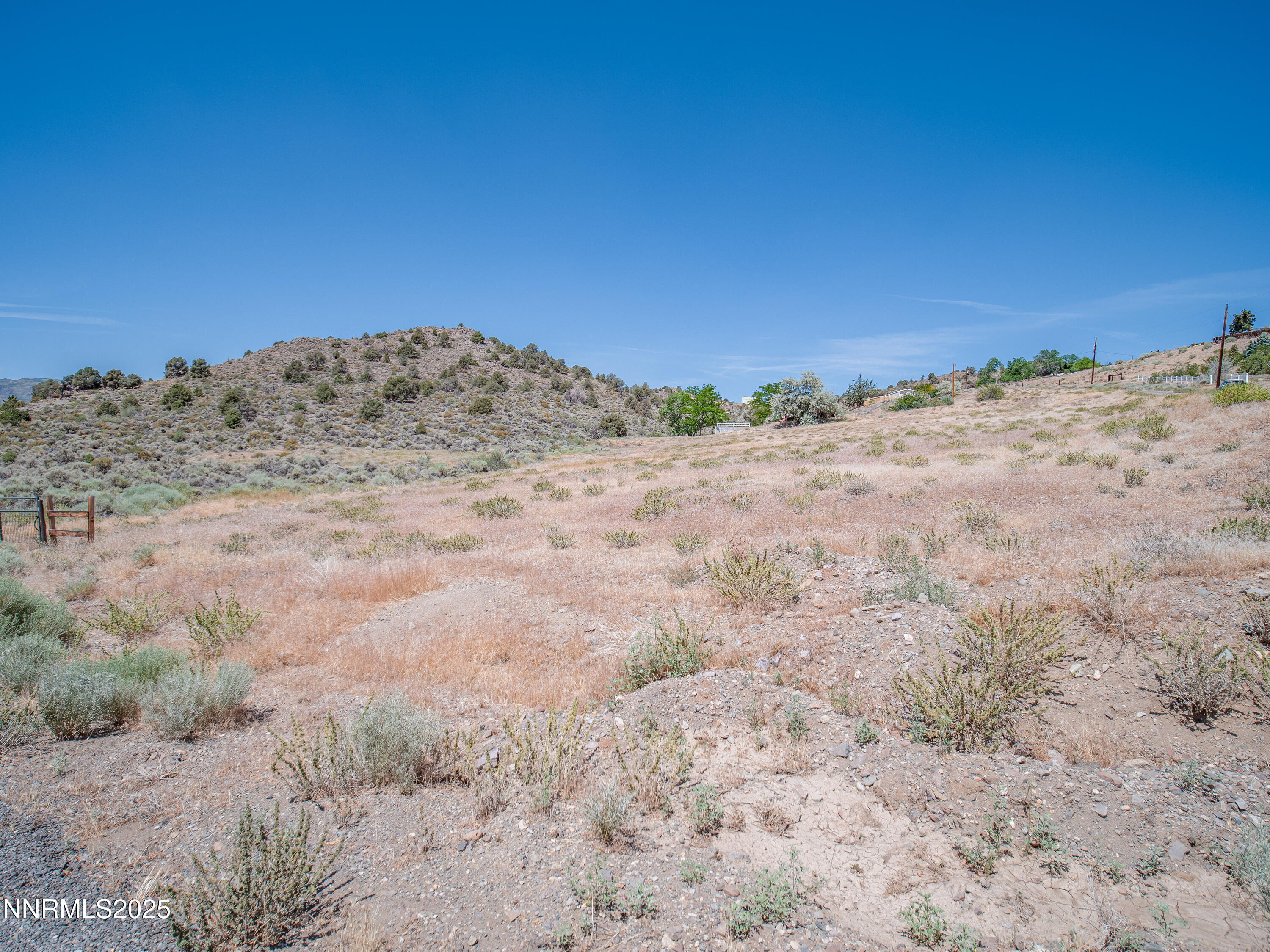 3955 Mica Court Topaz Ranch Estates, NV 89444 - Photo 7 of 26 a view of a dry yard with a mountain in the background