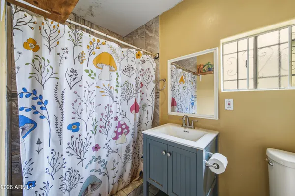 a bathroom with a sink and mirror with shower curtain