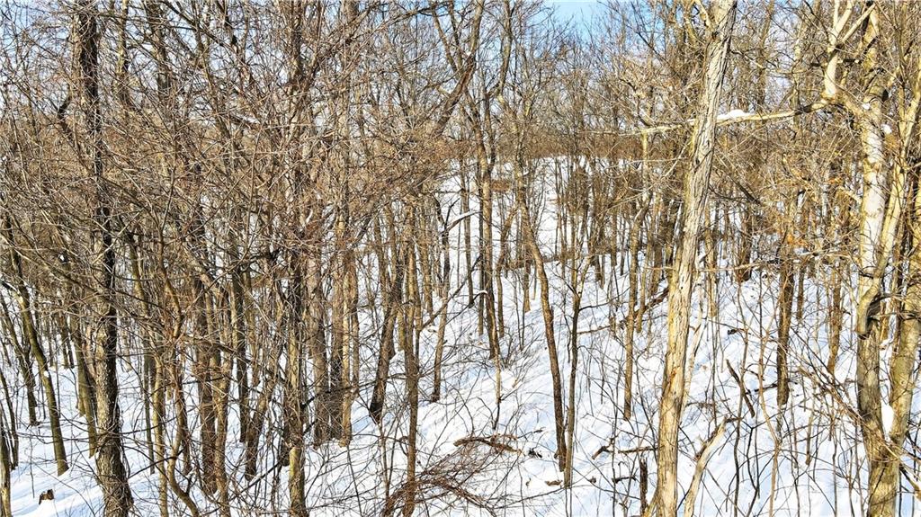 407 Ridgemont Drive Industry, PA 15052 - Photo 23 of 25