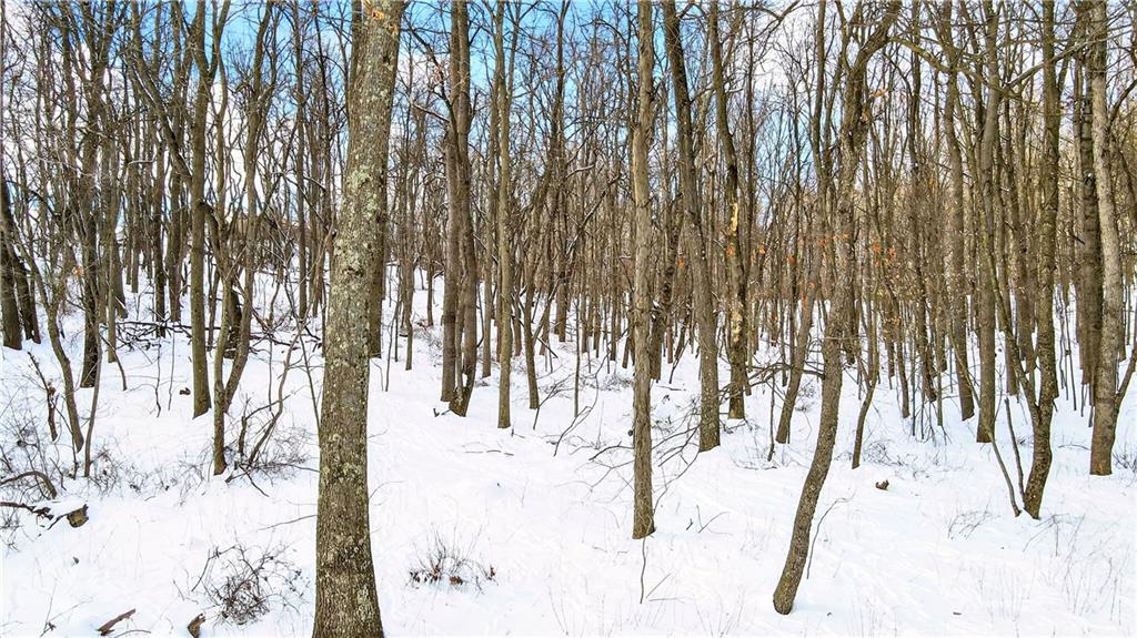 407 Ridgemont Drive Industry, PA 15052 - Photo 24 of 25