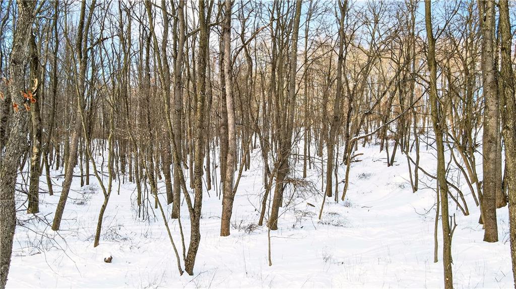 407 Ridgemont Drive Industry, PA 15052 - Photo 25 of 25