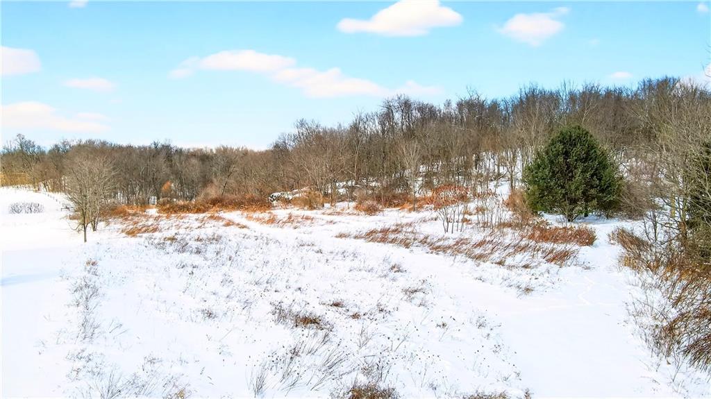 407 Ridgemont Drive Industry, PA 15052 - Photo 4 of 25