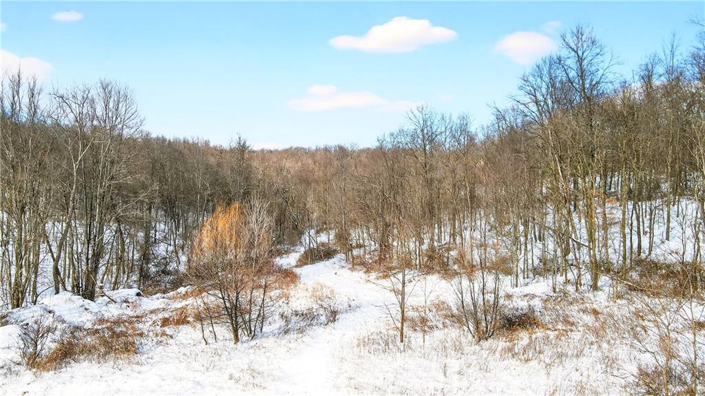 407 Ridgemont Drive Industry, PA 15052 - Photo 6 of 25