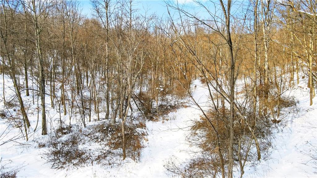 407 Ridgemont Drive Industry, PA 15052 - Photo 9 of 25