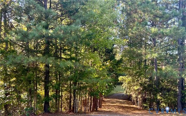 a view of a yard with plants and trees
