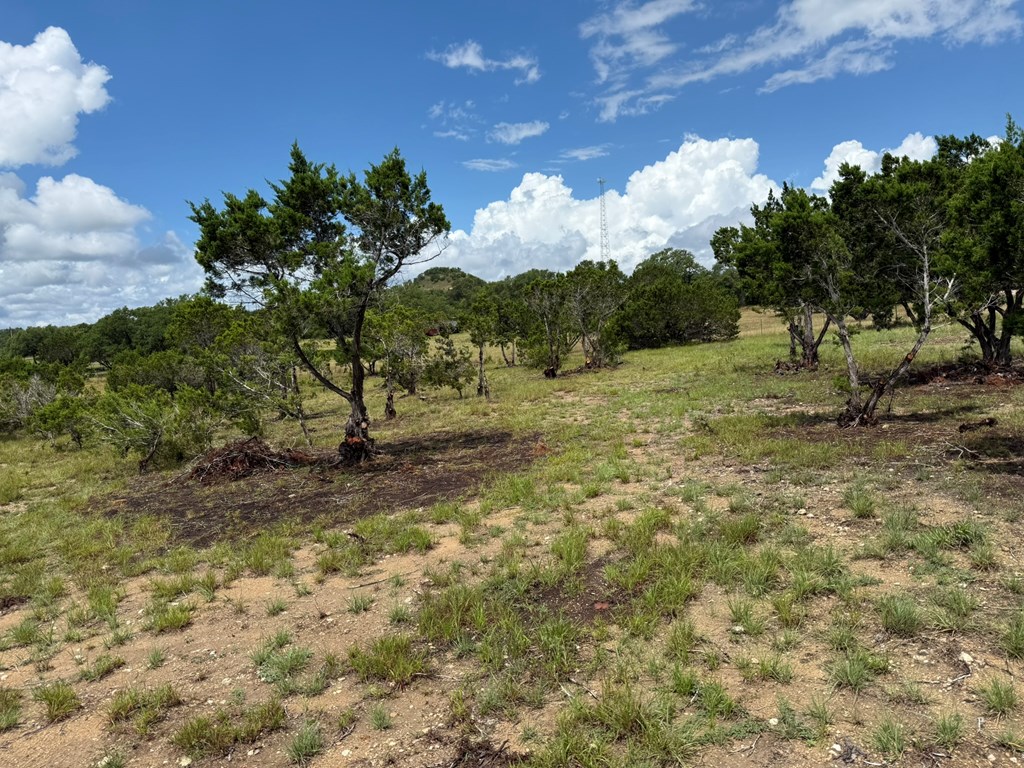 589 Rolling Hills Road, Unit 4B Blanco, TX 78606 - Photo 7 of 16