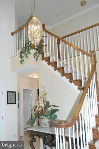 3731 North Glebe Road Arlington, VA 22207 - Photo 16 of 27 a view of entryway with wooden floor