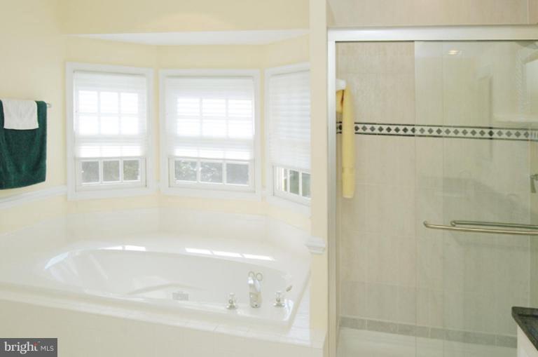 3731 North Glebe Road Arlington, VA 22207 - Photo 20 of 27 a bathroom with a bathtub and a shower