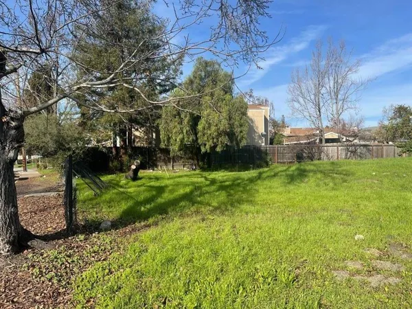 a view of a backyard with table and chairs and a large tree