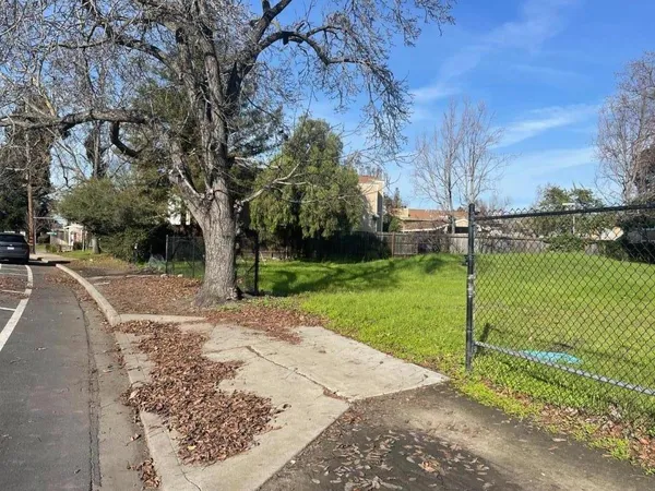 a view of a park with large trees