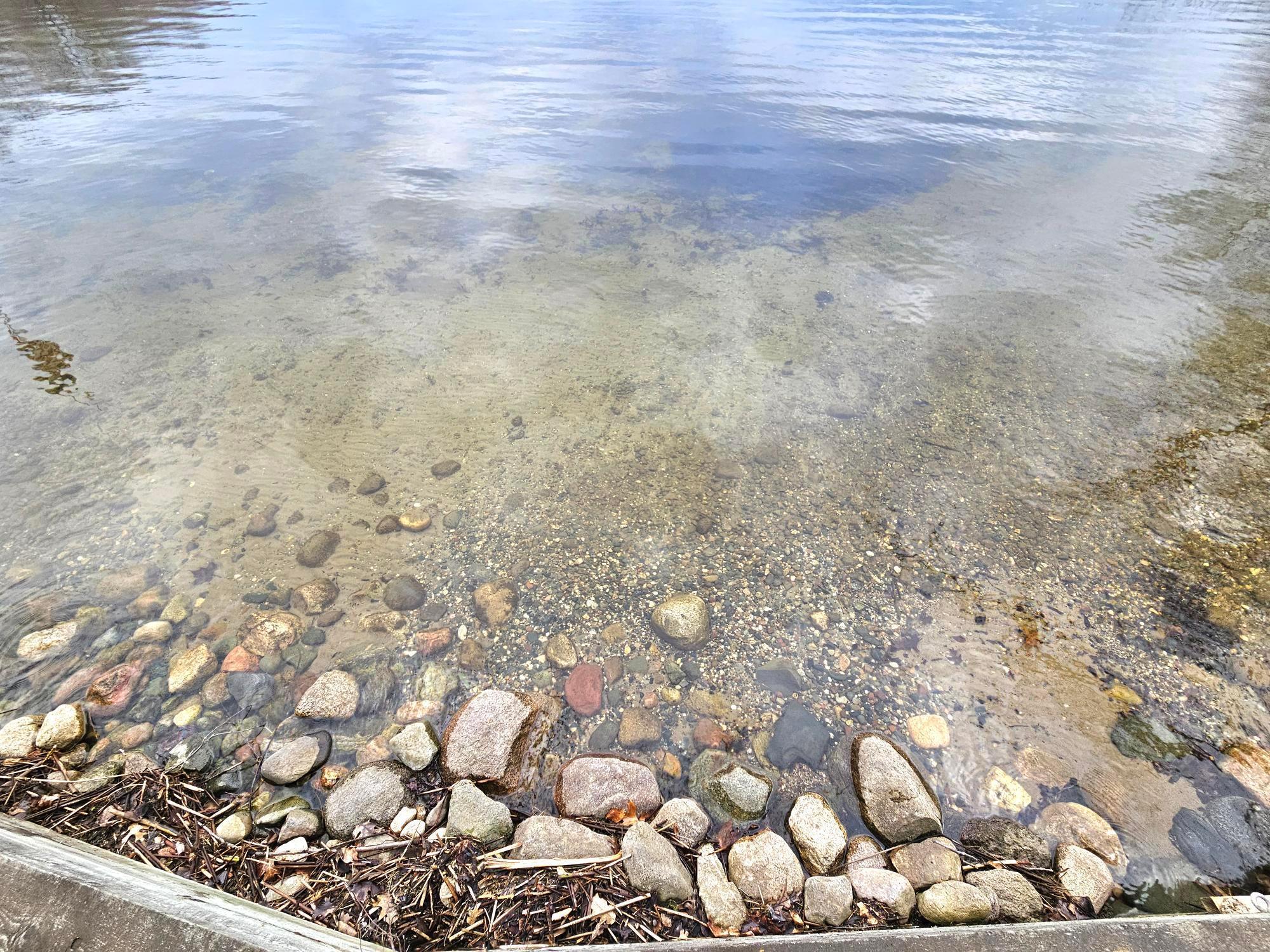 43801 Sylvia Valley Road Melrose, MN 56352 - Photo 11 of 64