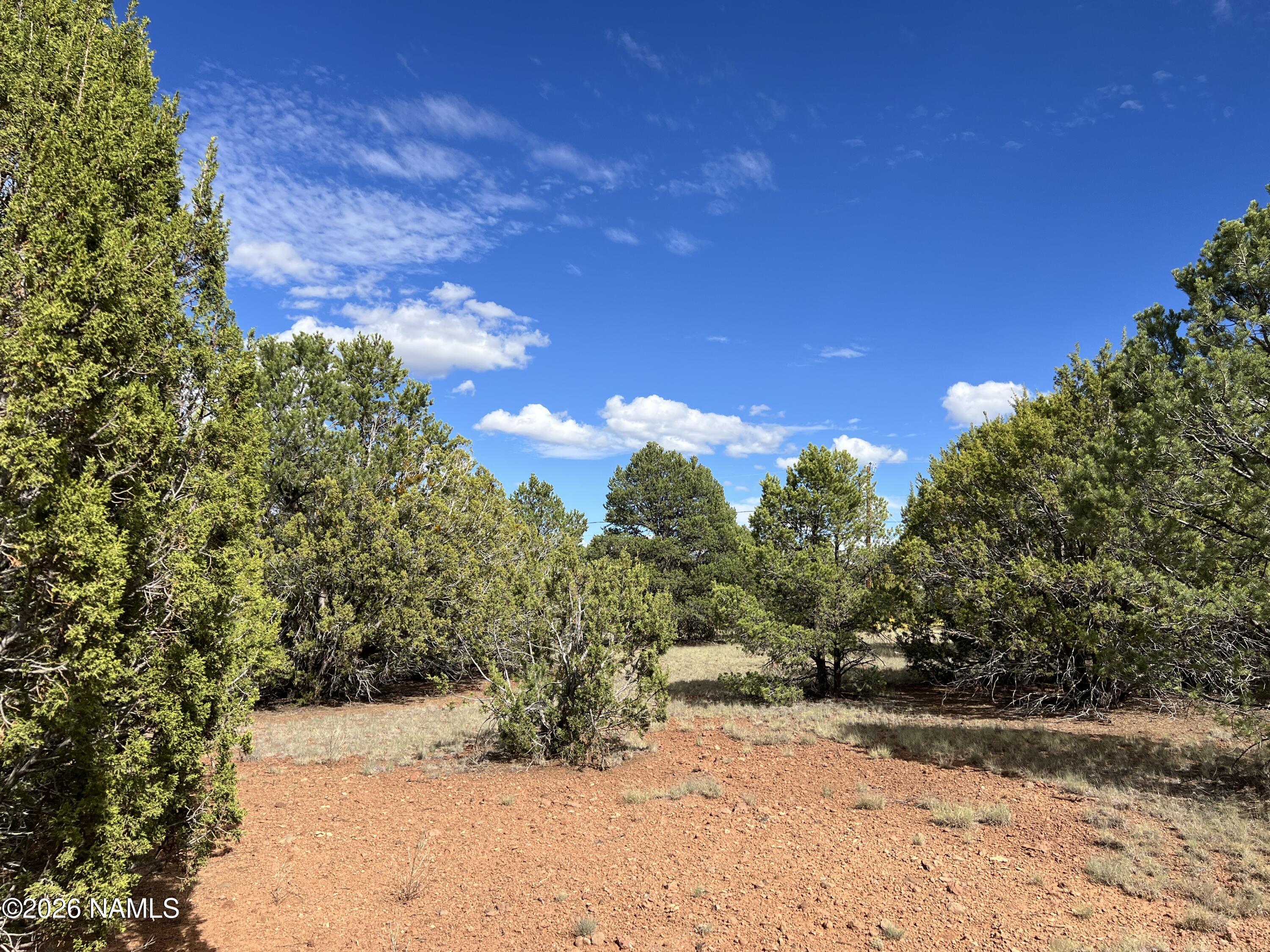 7197 North Red Lake Road Williams, AZ 86046 - Photo 4 of 13 IMG_3418