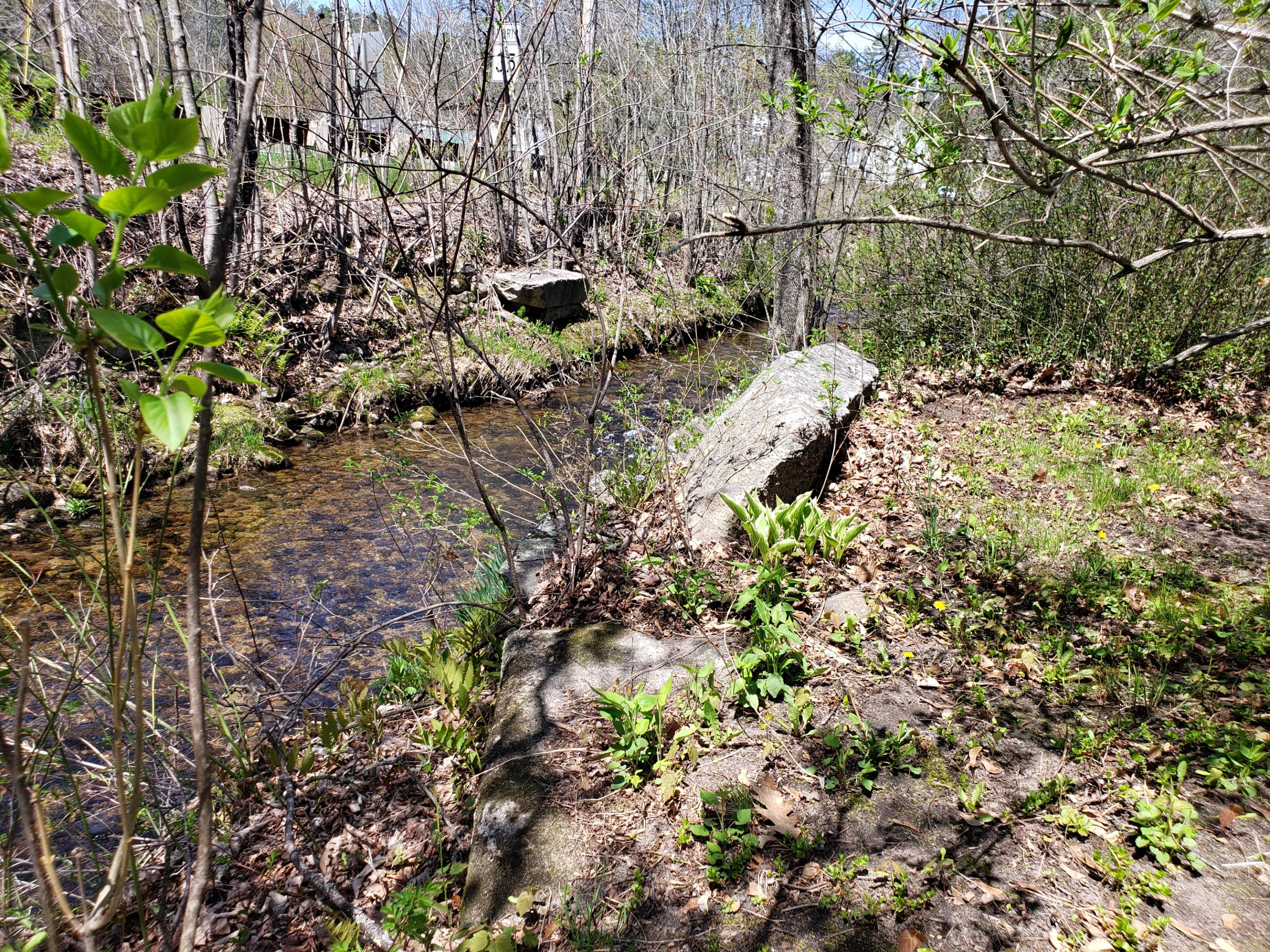 4 Rice Road Waterford, ME 04088 - Photo 15 of 49 Granite lined brook