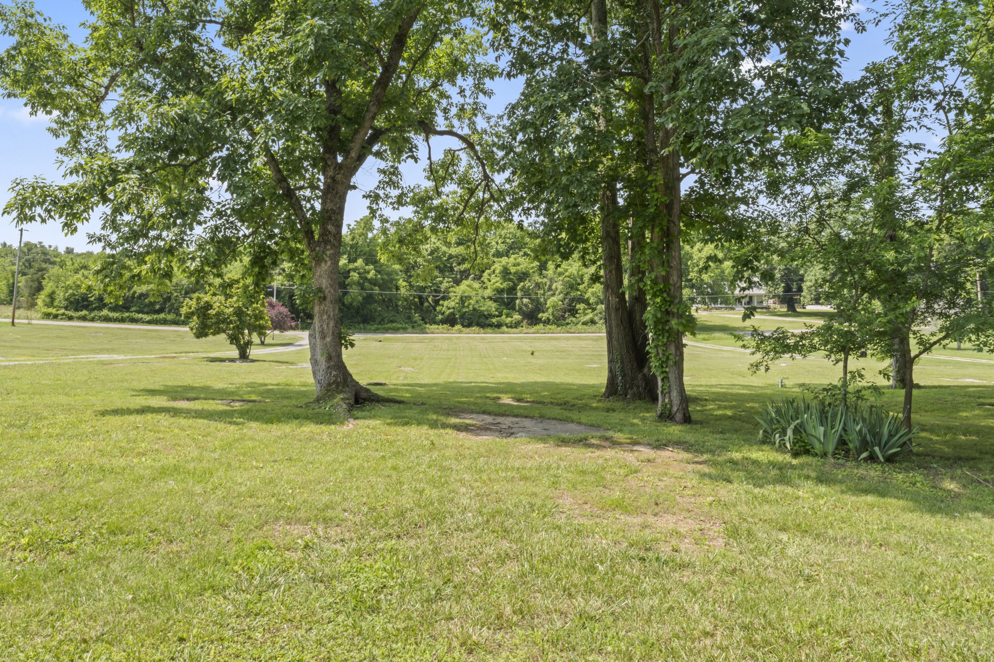 1510 Wade Brown Road Lewisburg, TN 37091 - Photo 13 of 59 a view of yard with tree