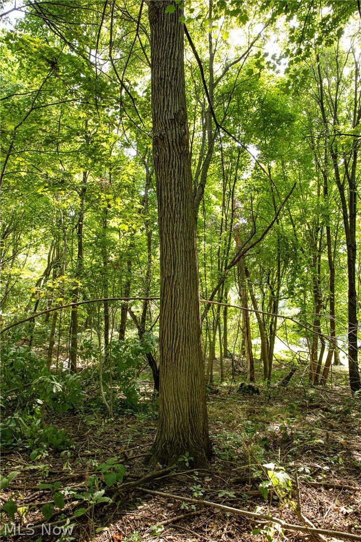 Smith Road Southwest Navarre, OH 44662 - Photo 7 of 12 Gallery Image 7