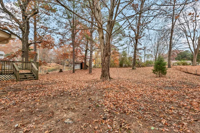a view of snow on the side of the road