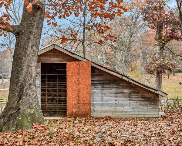 a front view of a house with a tree