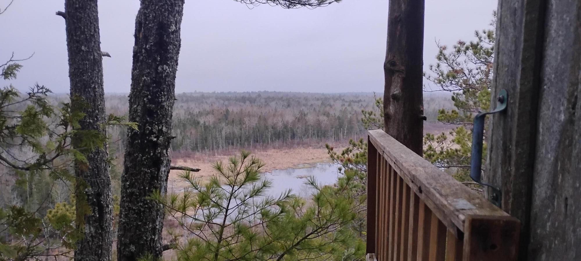 162 Ayers Junction Road Pembroke, ME 04666 - Photo 2 of 31 1000002220