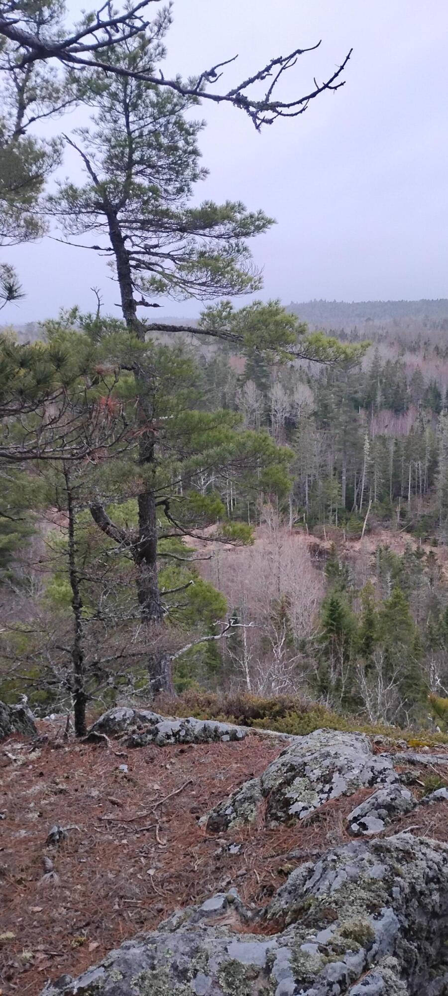 162 Ayers Junction Road Pembroke, ME 04666 - Photo 25 of 31 1000002196
