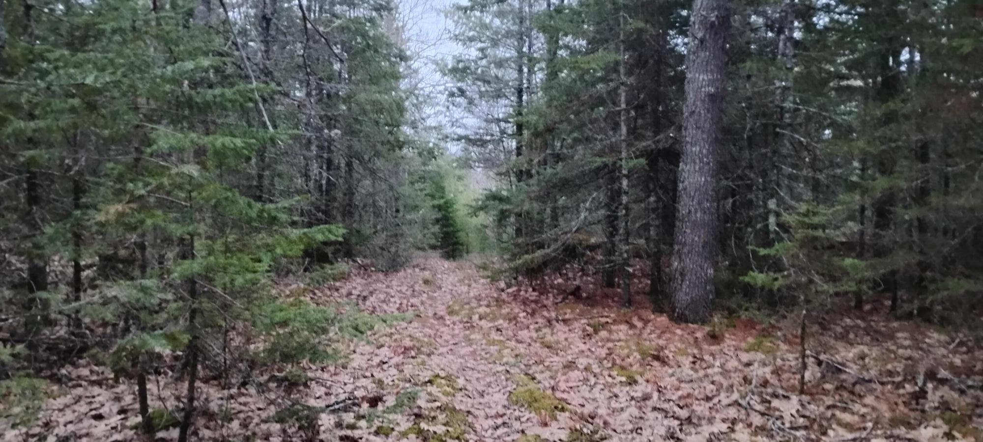 162 Ayers Junction Road Pembroke, ME 04666 - Photo 3 of 31 1000002246