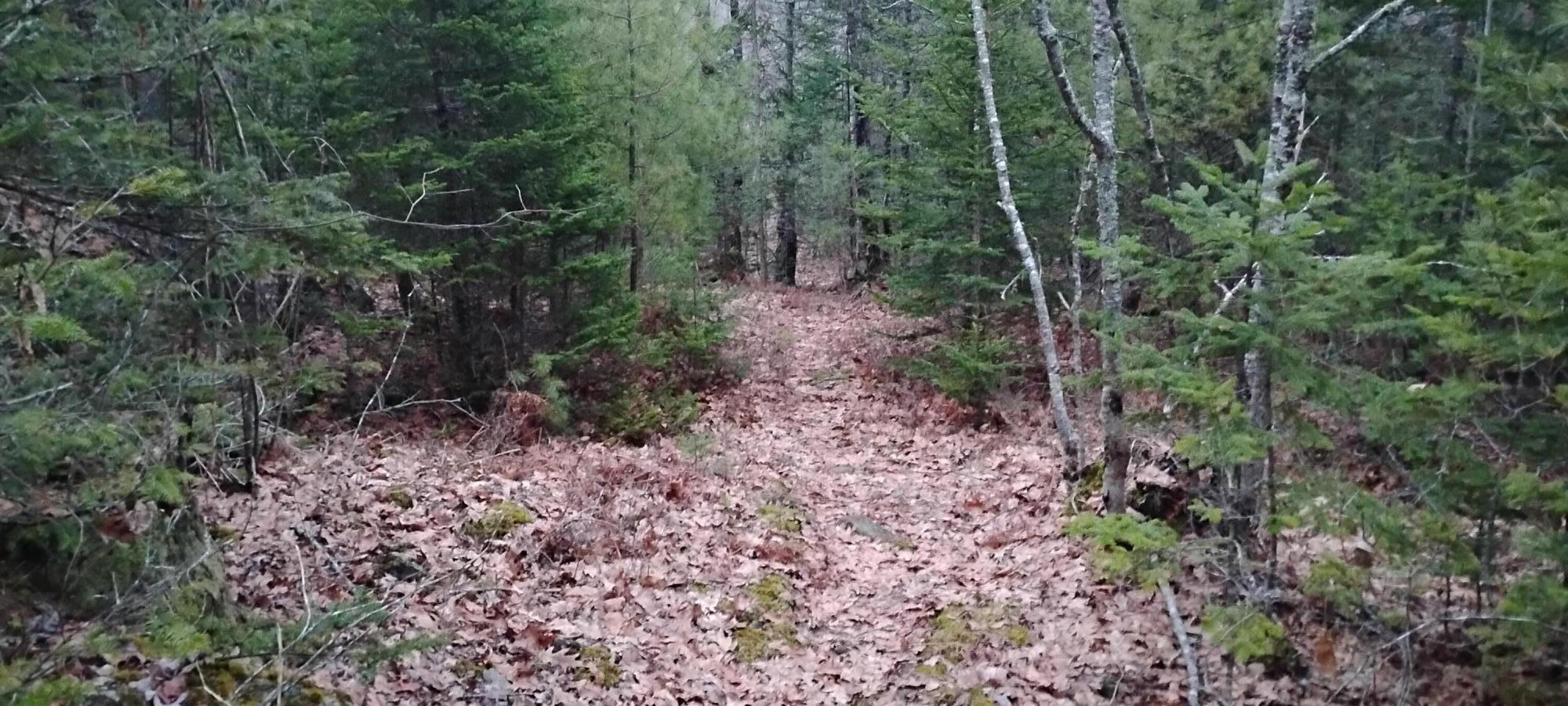162 Ayers Junction Road Pembroke, ME 04666 - Photo 9 of 31 1000002248