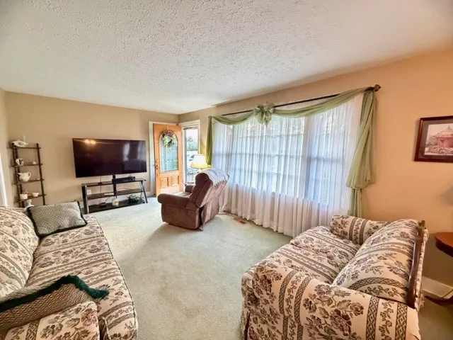 a living room with a couch and a flat screen tv