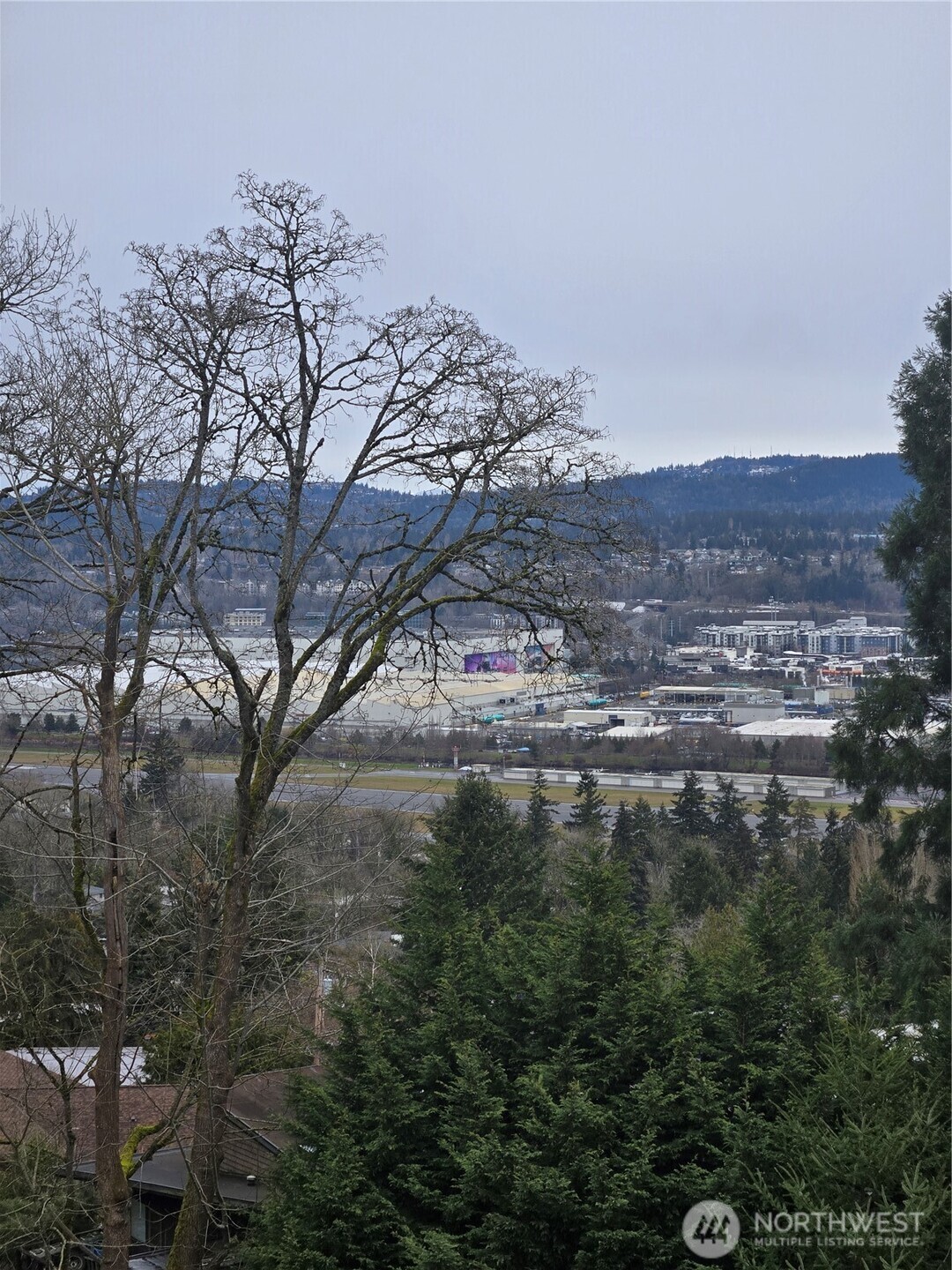 600 Northwest 3rd Court Renton, WA 98057 - Photo 26 of 28 a view of a forest with mountains in the background
