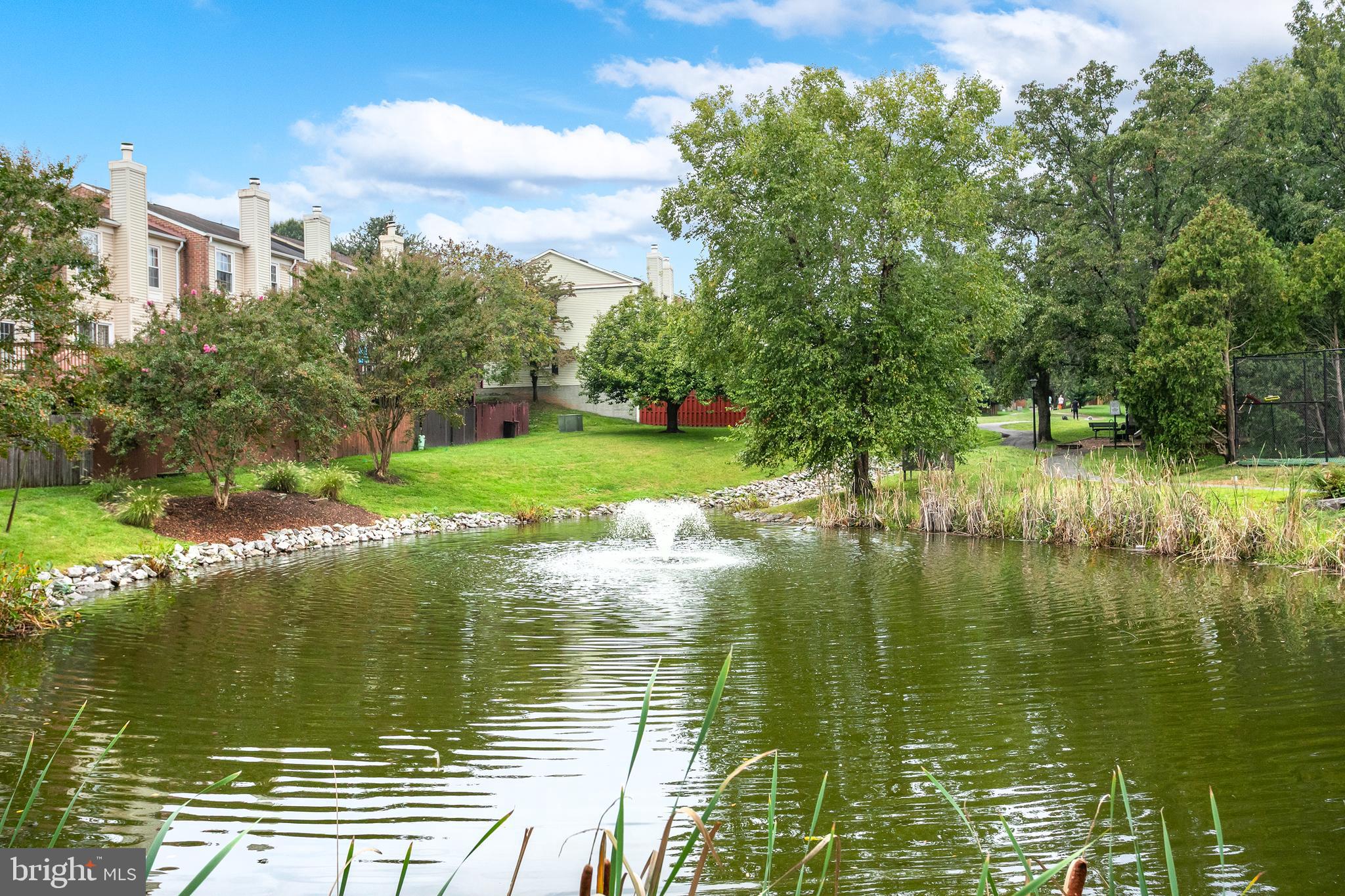 6542 Cypress Point Road Alexandria, VA 22312 - Photo 29 of 31 a view of lake