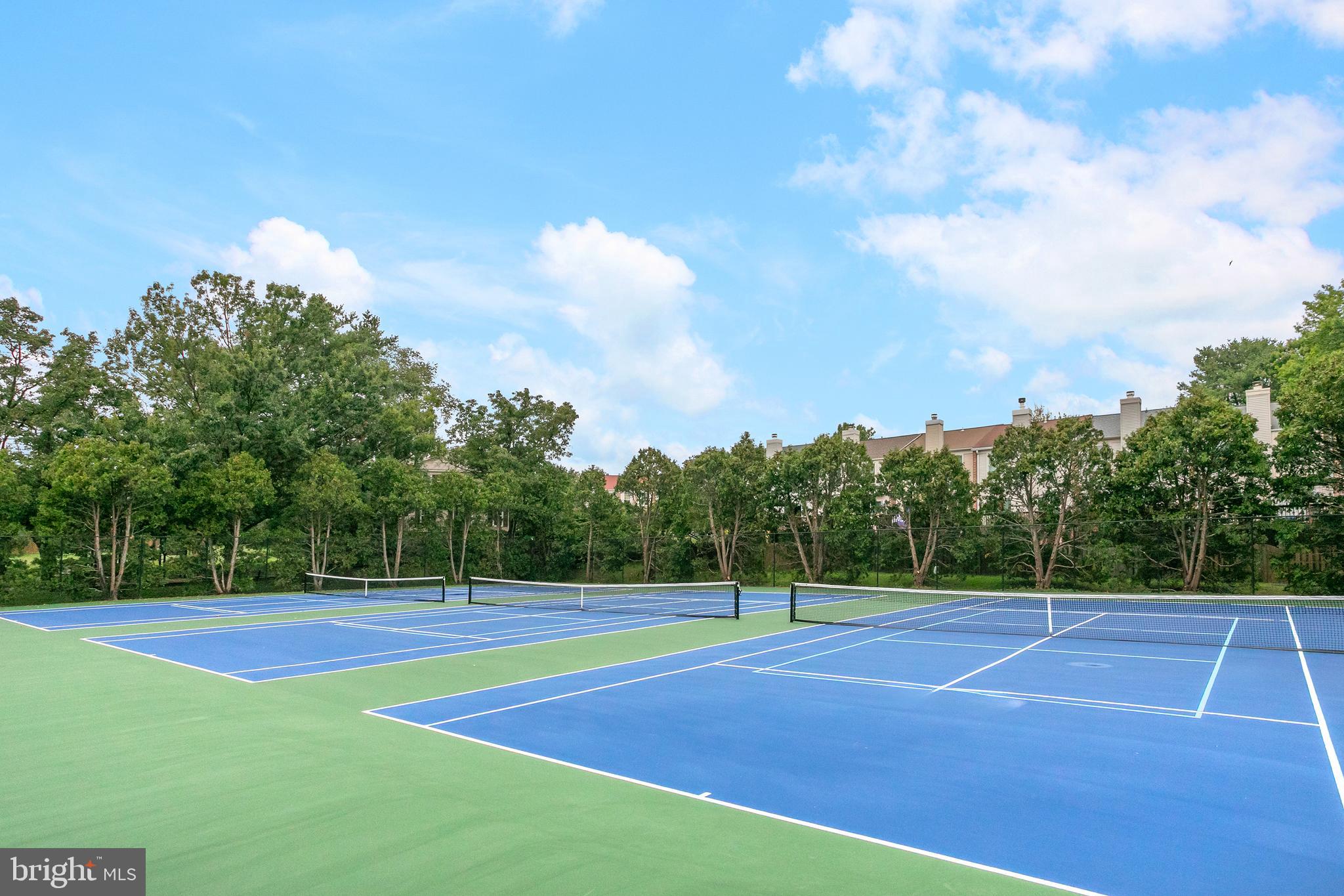 6542 Cypress Point Road Alexandria, VA 22312 - Photo 30 of 31